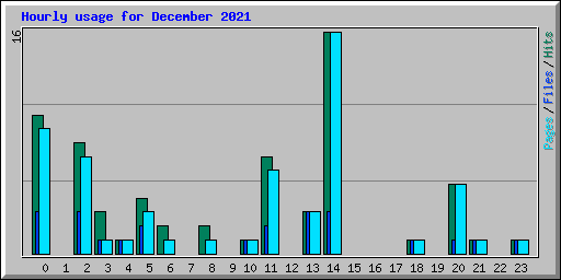 Hourly usage for December 2021