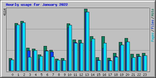 Hourly usage for January 2022