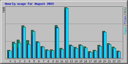 Hourly usage for August 2022